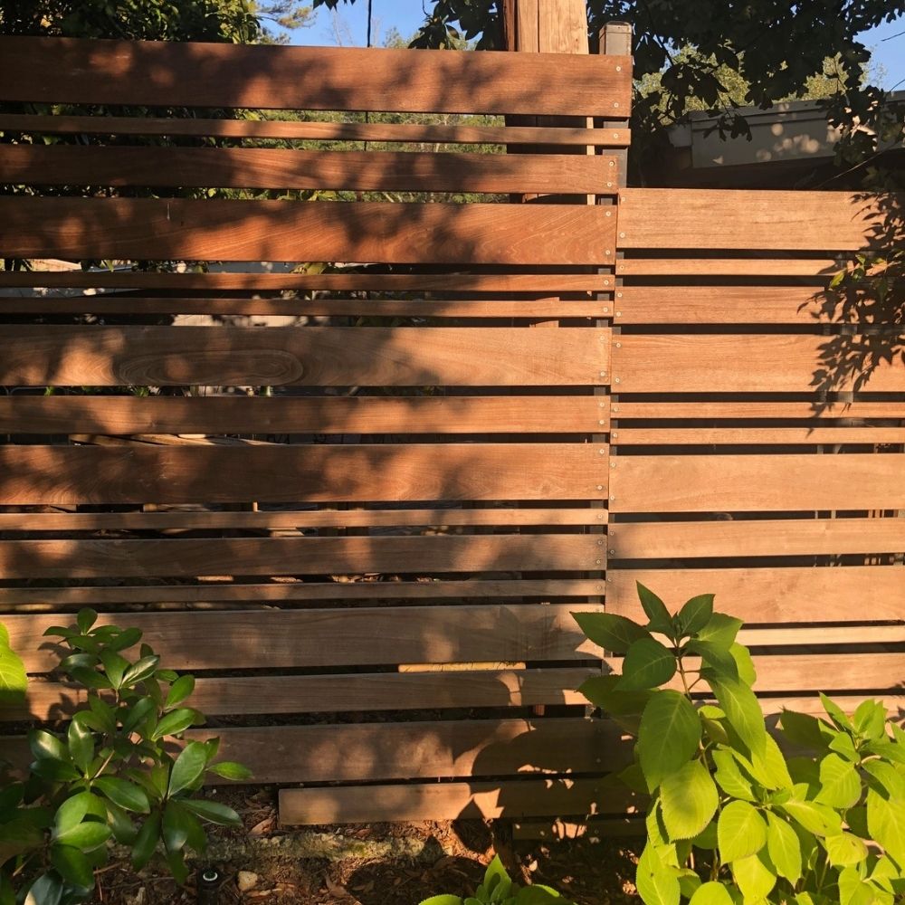 A wooden slat fence casts shadows and sunlight patterns. Lush green plants grow in front, with leafy branches visible at the bottom and sides. Tall trees and blue sky can be seen in the background.