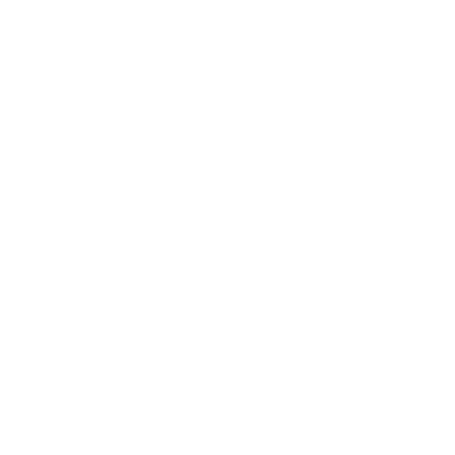 icons8 1 500 1