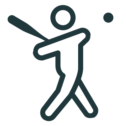 icons8 baseball player 500