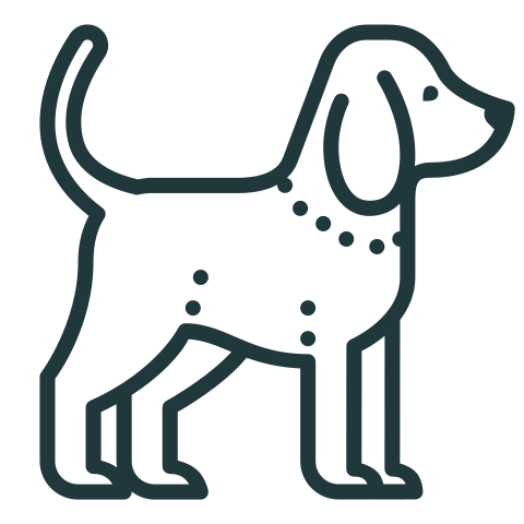 icons8 dog 480