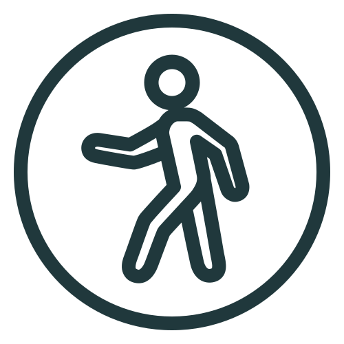 icons8 public 500